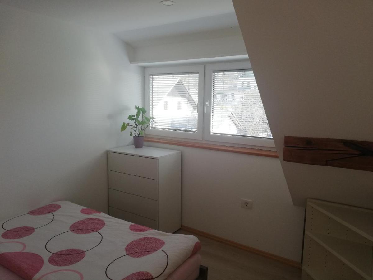 Apartment Ana Бохінь Екстер'єр фото