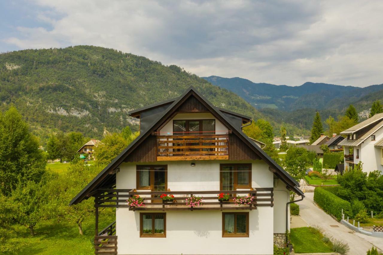 Apartment Ana Бохінь Екстер'єр фото